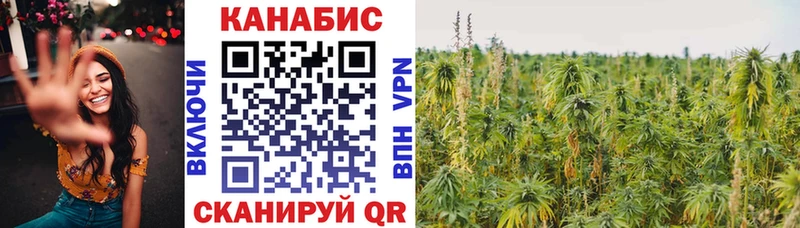 Марихуана семена  что такое   OMG сайт  Адыгейск 